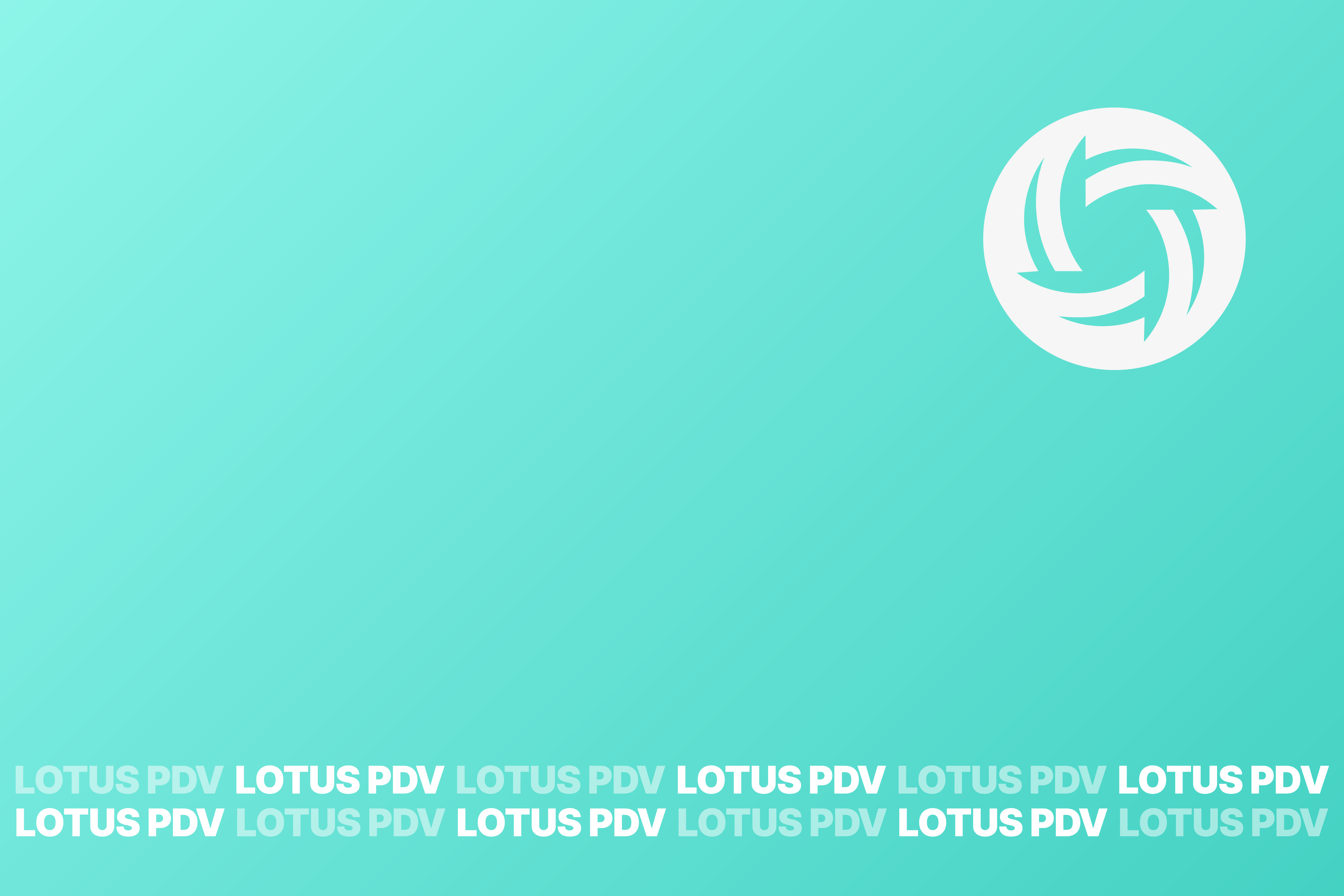 Caixa e e-commerce integrados ao sistema